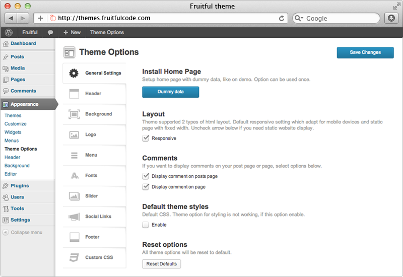 features-theme-options