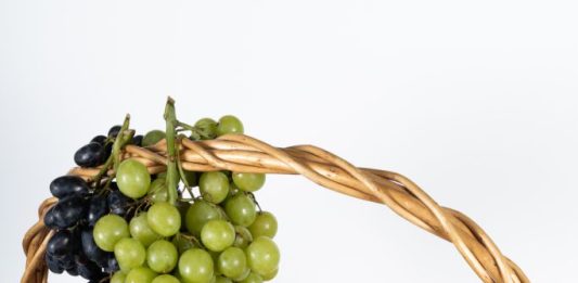 מגשי פירות מעוצבים ויפים כפתרון מושלם למתנות ייחודיות