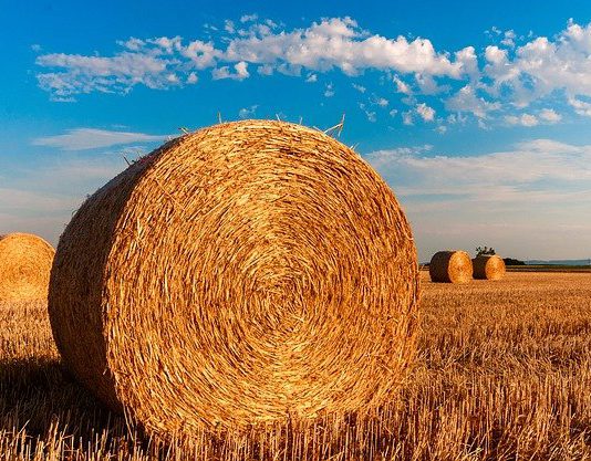 AgJunction הקנדית בחרה בפלטפורמת הסימולציה של חברת האוטו-טק קוגנטה הישראלית להאיץ את הכניסה לשוק החקלאות