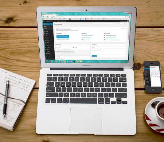 החשיבות של פיתוח תוכנה – WEB לעסקים שונים